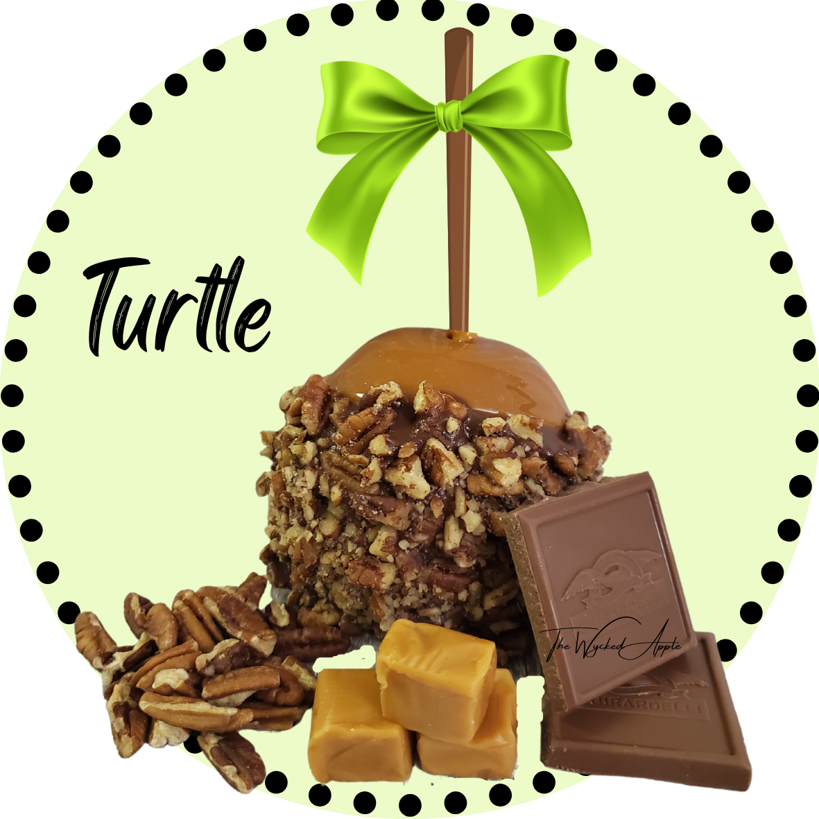 Turtle